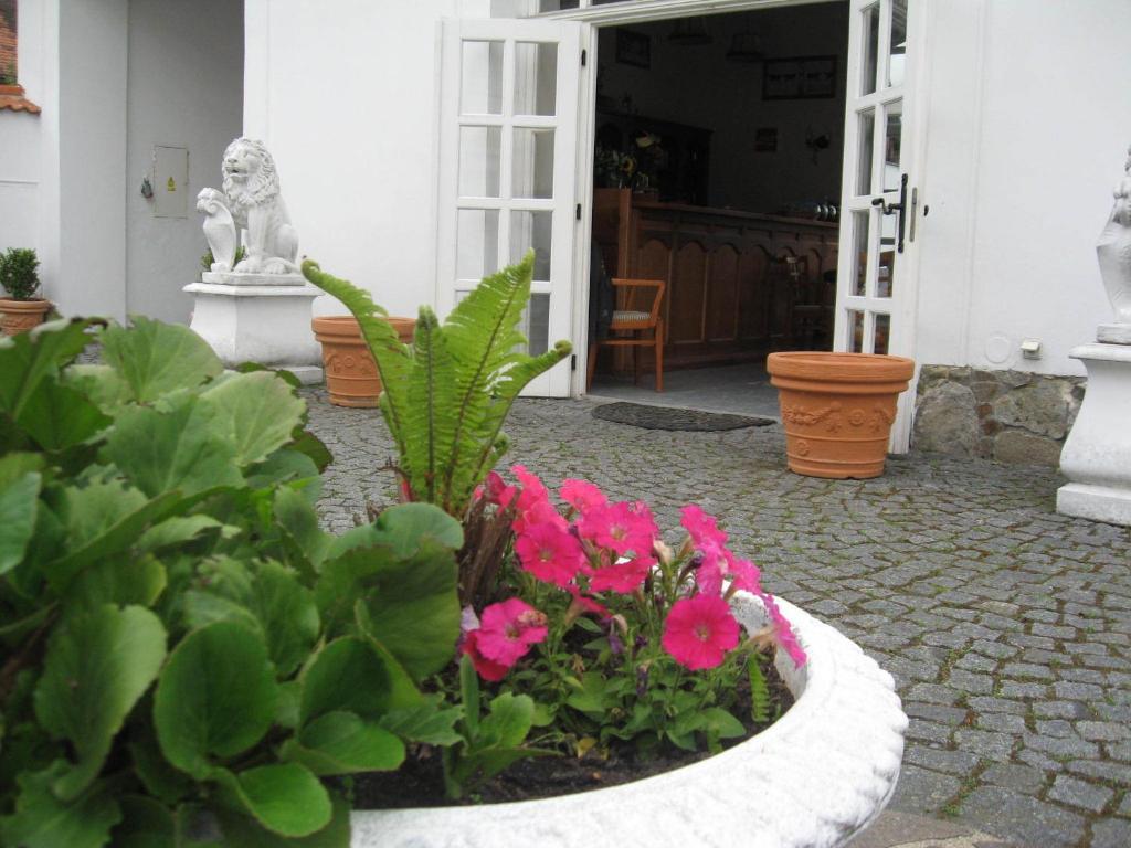 Pension Sejko Horní Planá Chambre photo