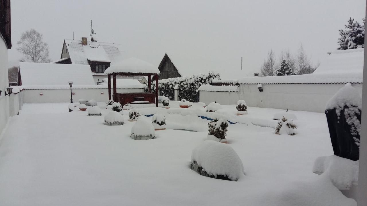 Pension Sejko Horní Planá Extérieur photo